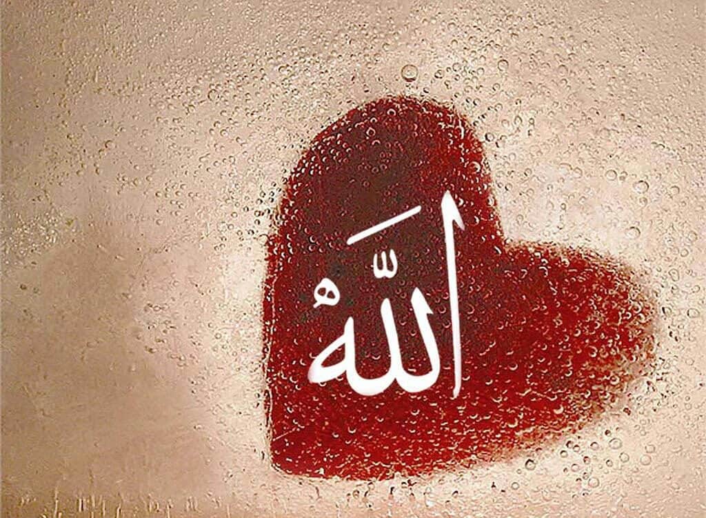 sifat wajib allah