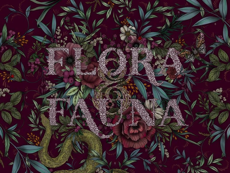 persebaran flora di Indonesia