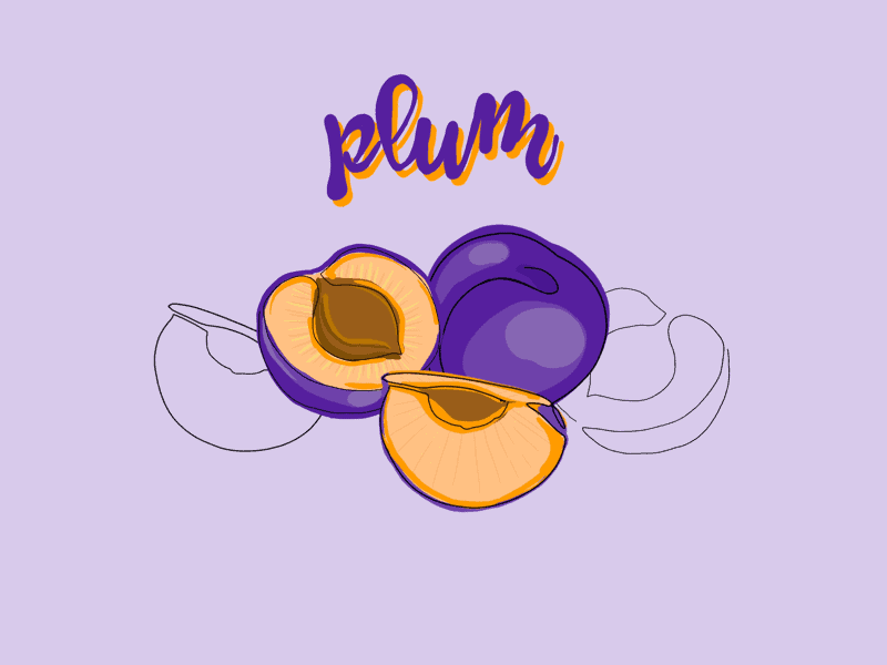 manfaat buah plum