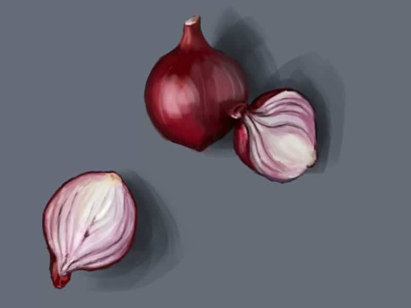 cara menanam bawang merah