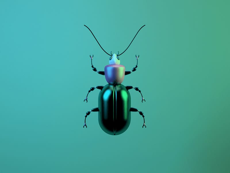 metamorfosis sempurna