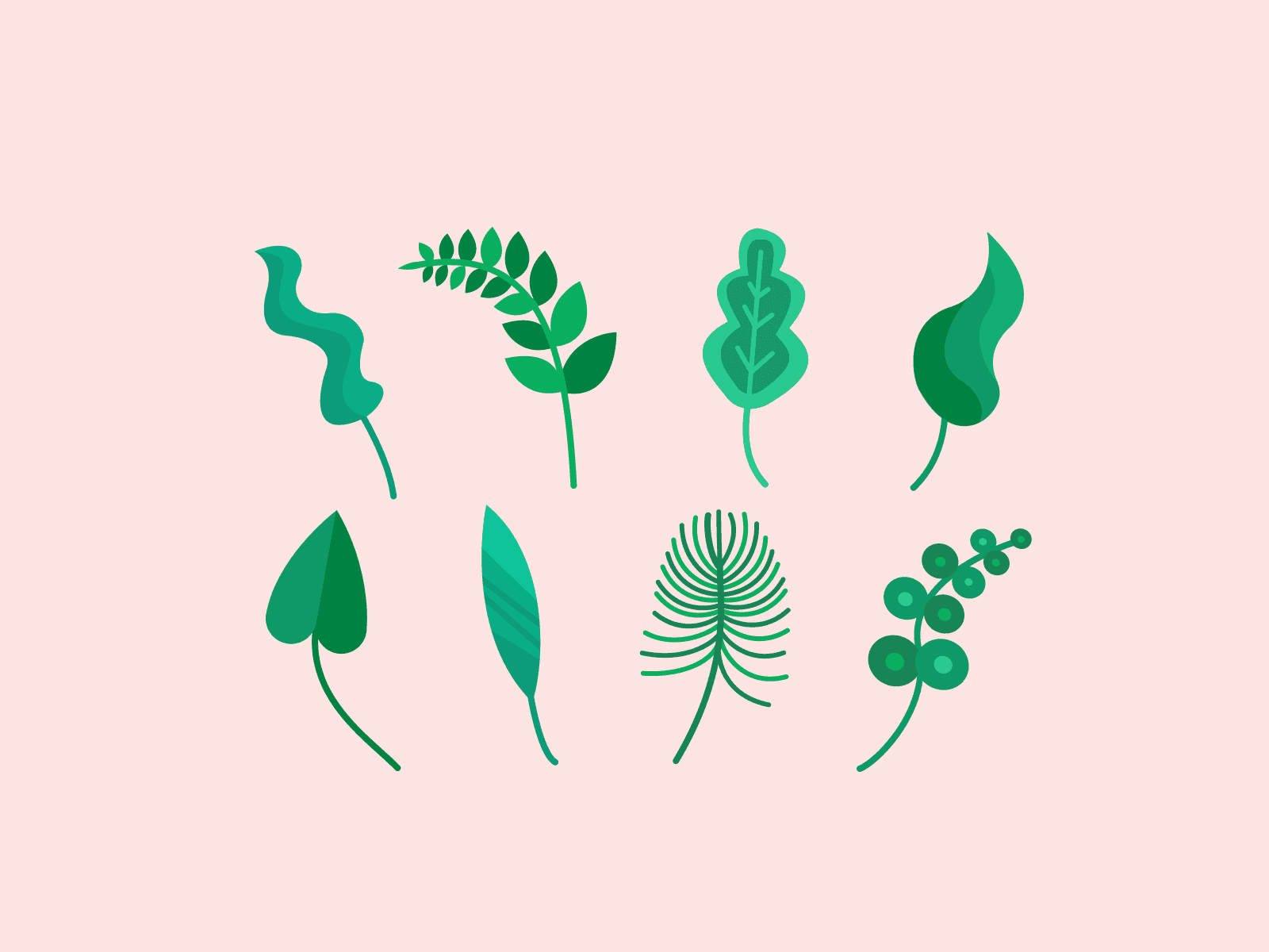 struktur daun