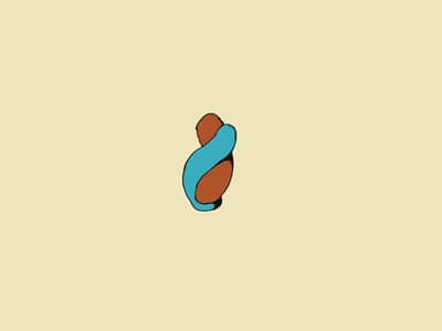 daur hidup fasciola hepatica