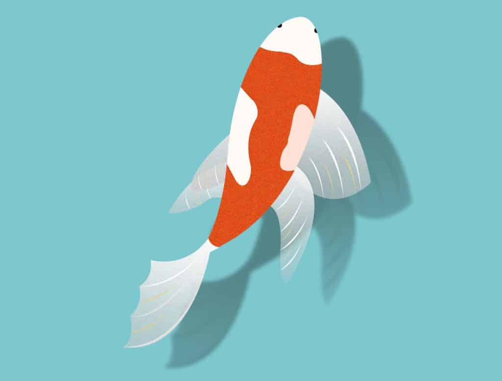 Daftar Harga dan Jenis Ikan Cupang Termahal 2021 [TERBARU]