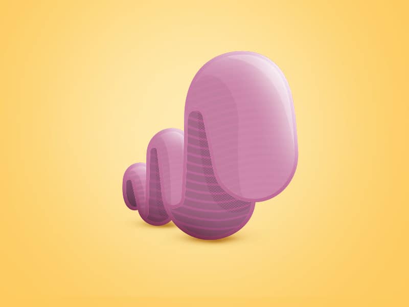 platyhelminthes