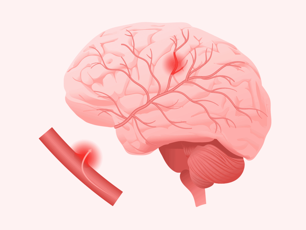 Sistem Koordinasi Manusia: Pengertian, Struktur, Fungsi + Gambar